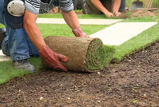 Maintaining Instant Lawns & Ready Turf