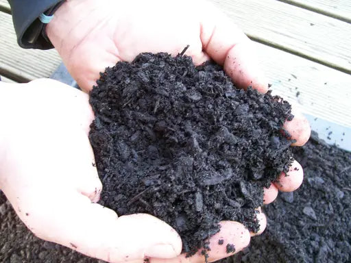 All About Compost Guide