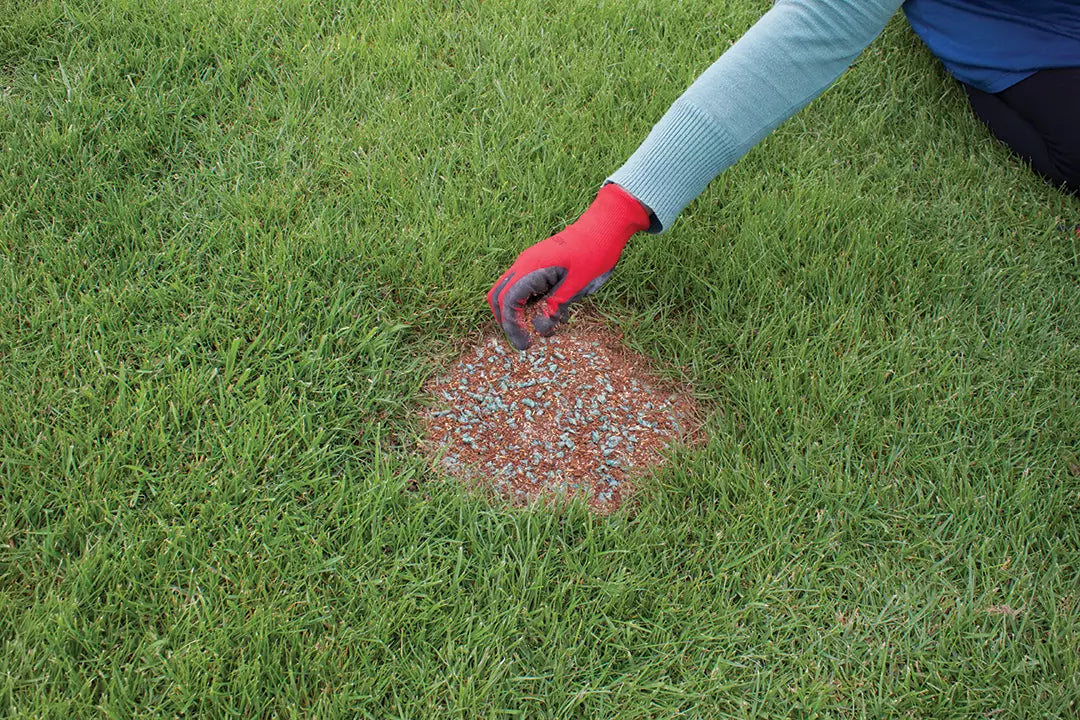 Lawn Care