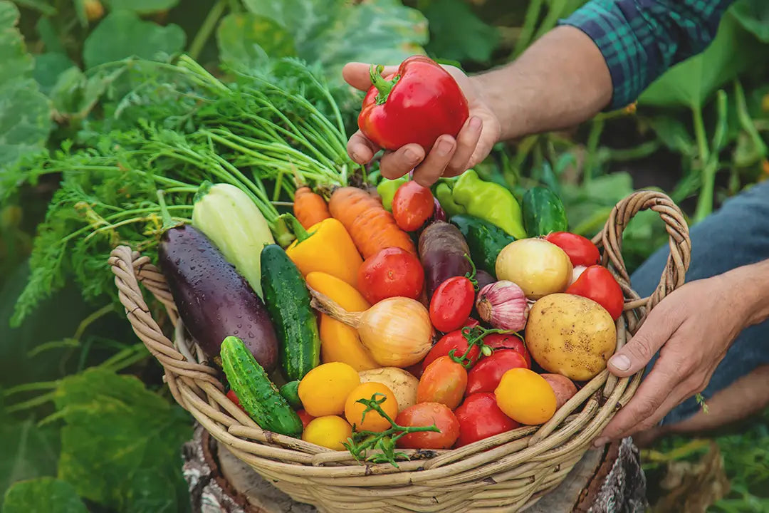 February Gardening Tasks