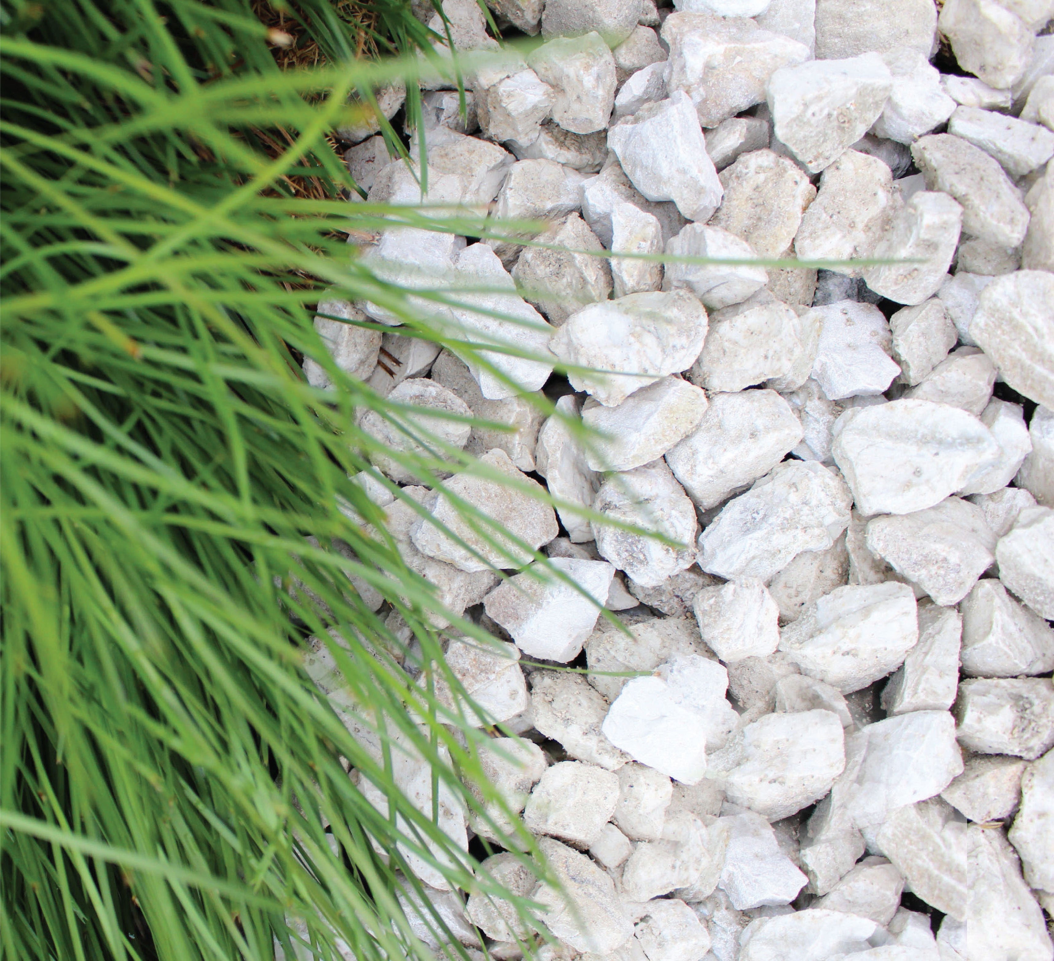 Decorative Pebble & Stone