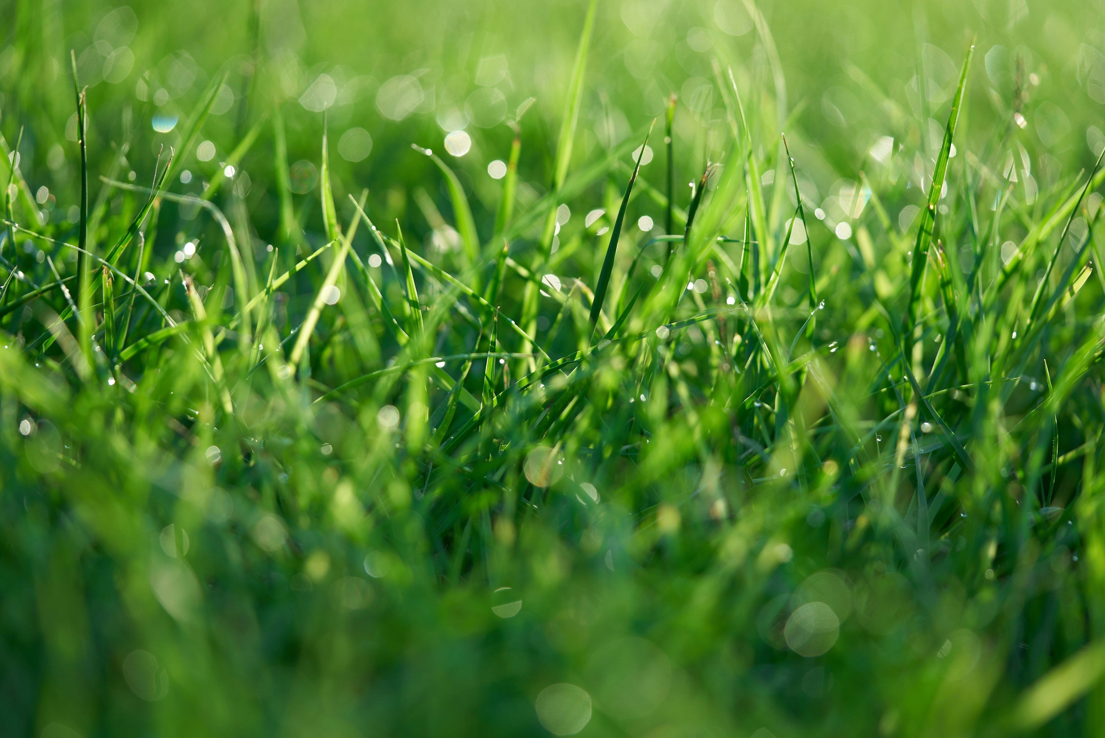 Lawn & Garden Care Products