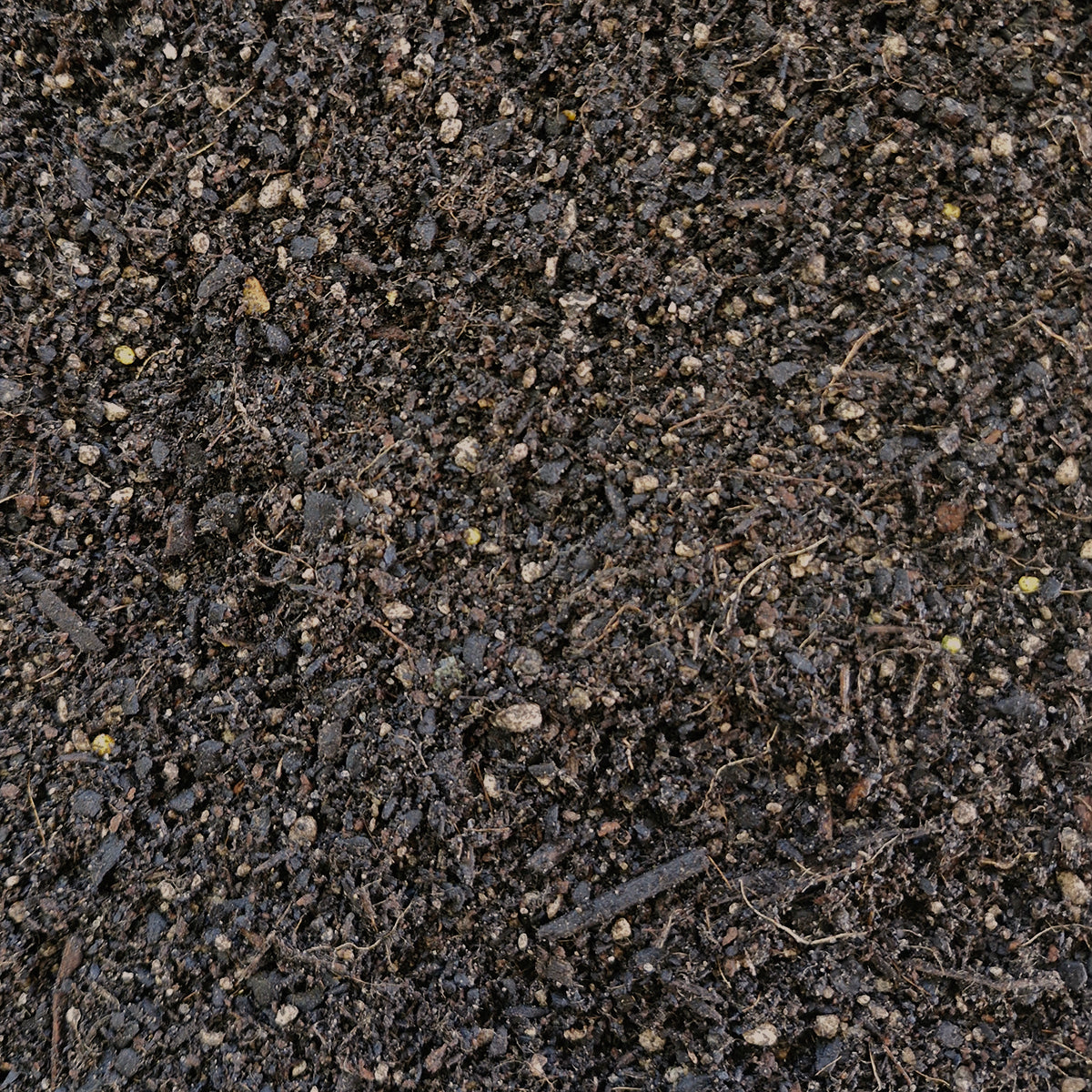 Daltons Commercial Seed & Cell Mix Bulk Packs