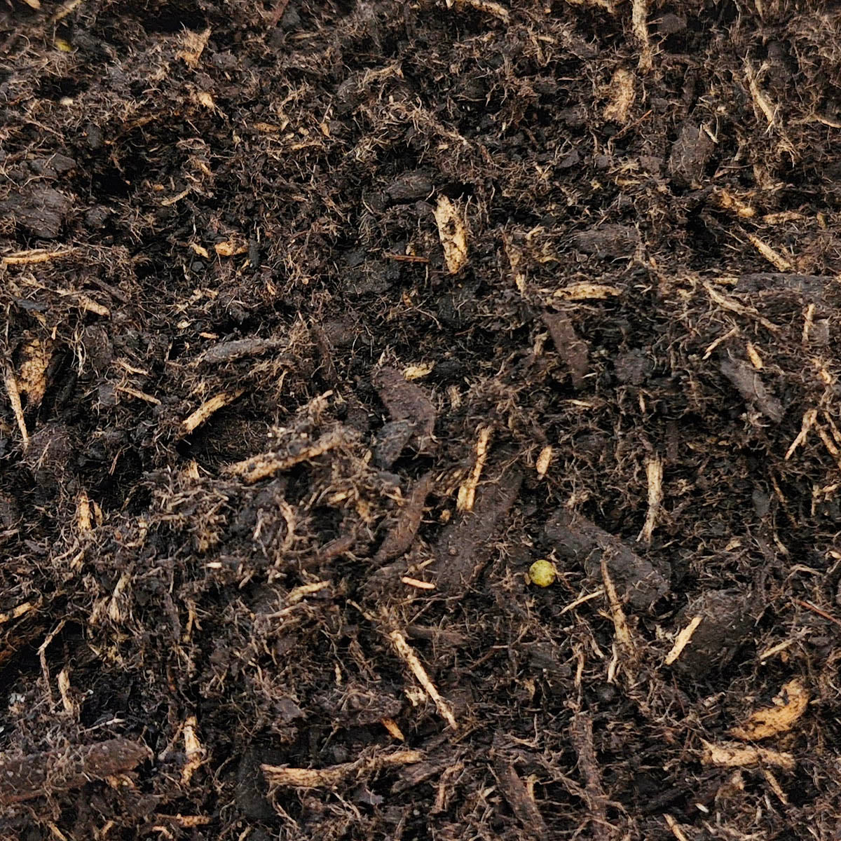 Daltons Commercial Tubing & Seedling Bulk Packs