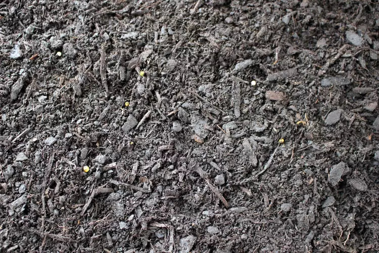 Daltons Commercial Garden Mix Bulk Packs