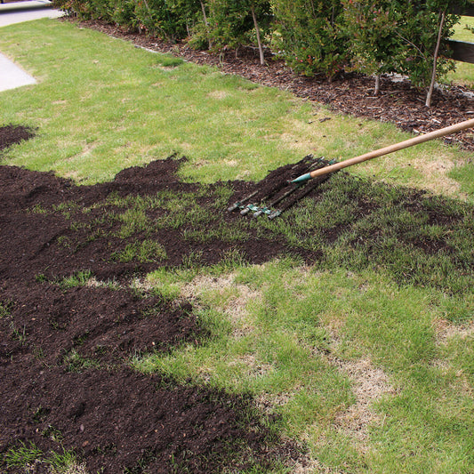Topdressing Your Lawn with Lawn Soil