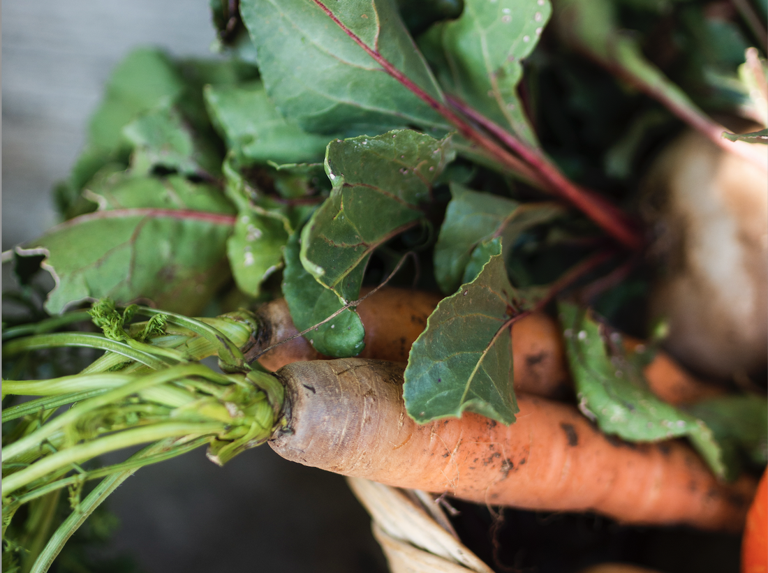 Growing Your Own Heritage Vegetables: A Flavorful and Sustainable Choice