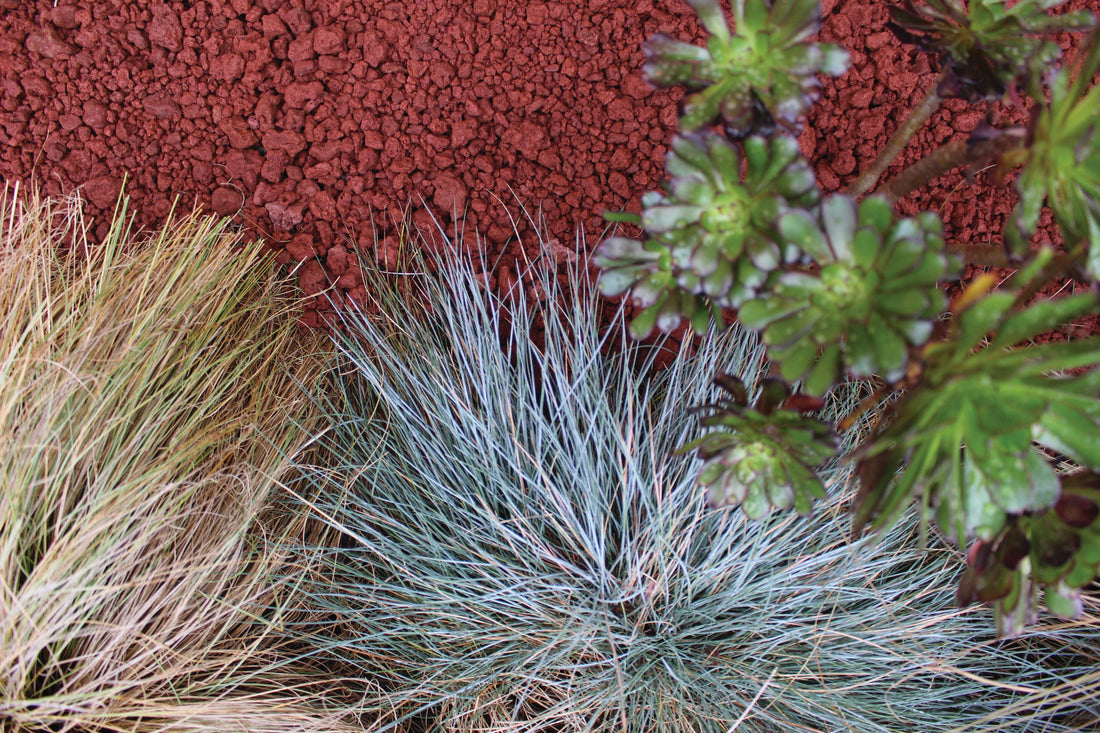 Scoria in the Garden: Drainage, Succulent Beds and More