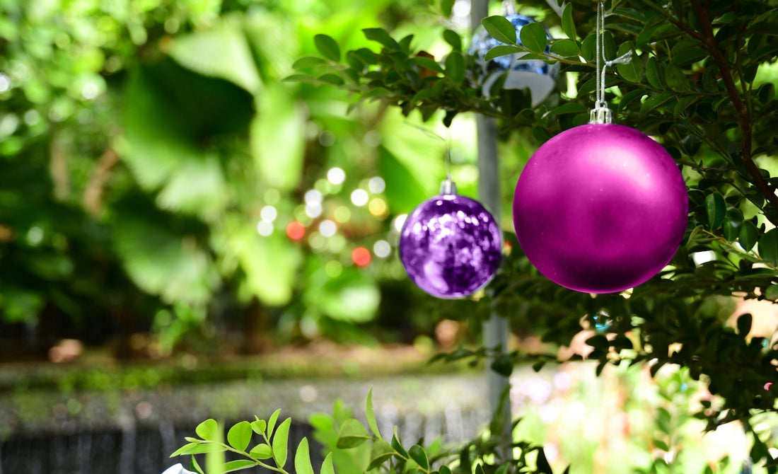 Daltons Landscape Supplies Christmas Hours