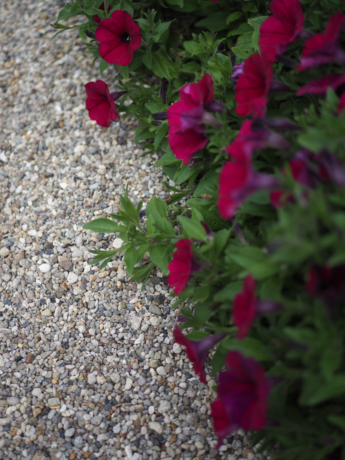 How to Build a Gravel Path That Stays Put