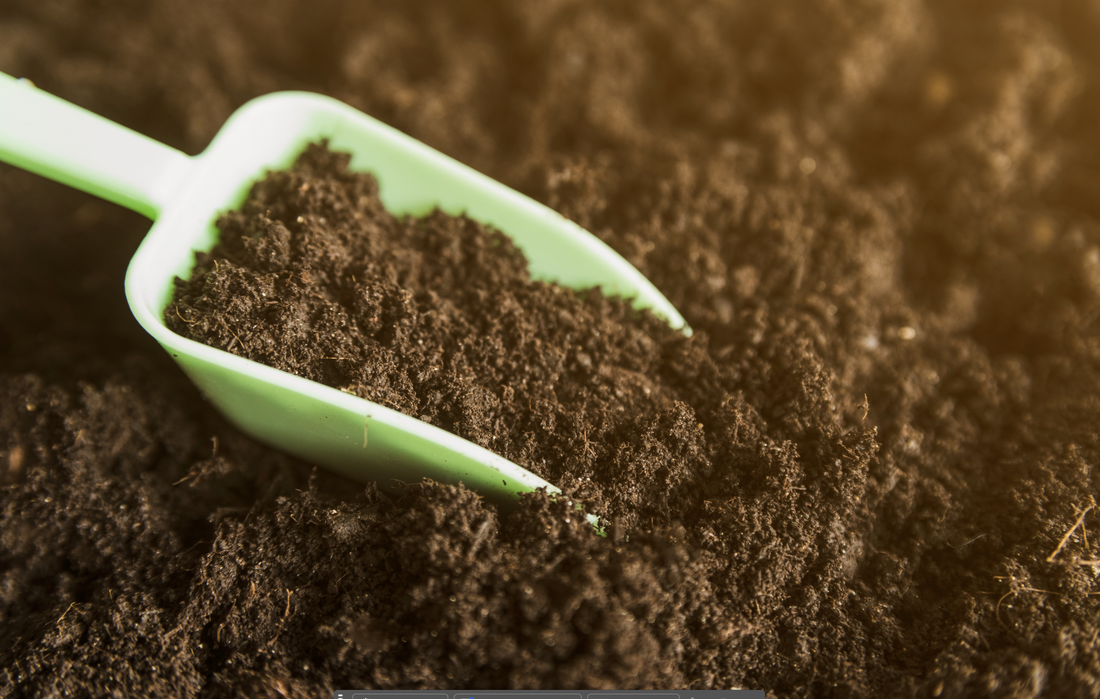 The Importance of Soil Health in Gardening
