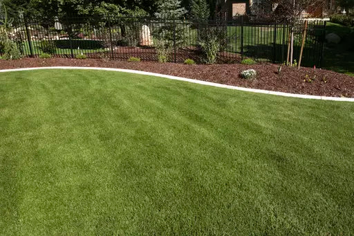 How to Grow a Great Lawn