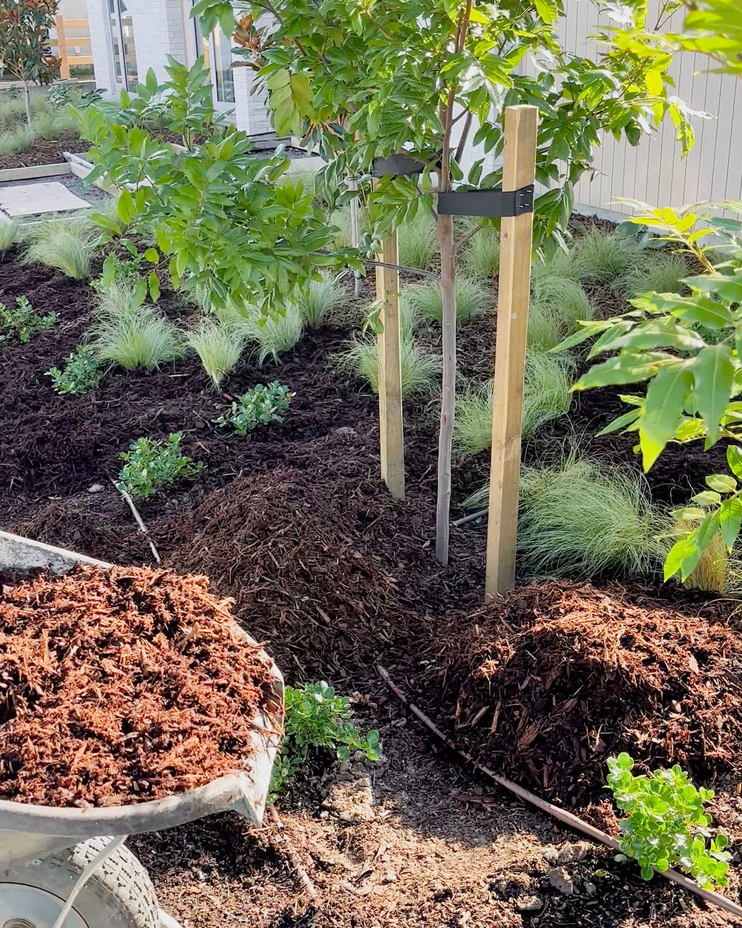 Mulch for Slopes and Large Areas: Mega Mulch, Black Mulch or Arbor Tree Mulch?