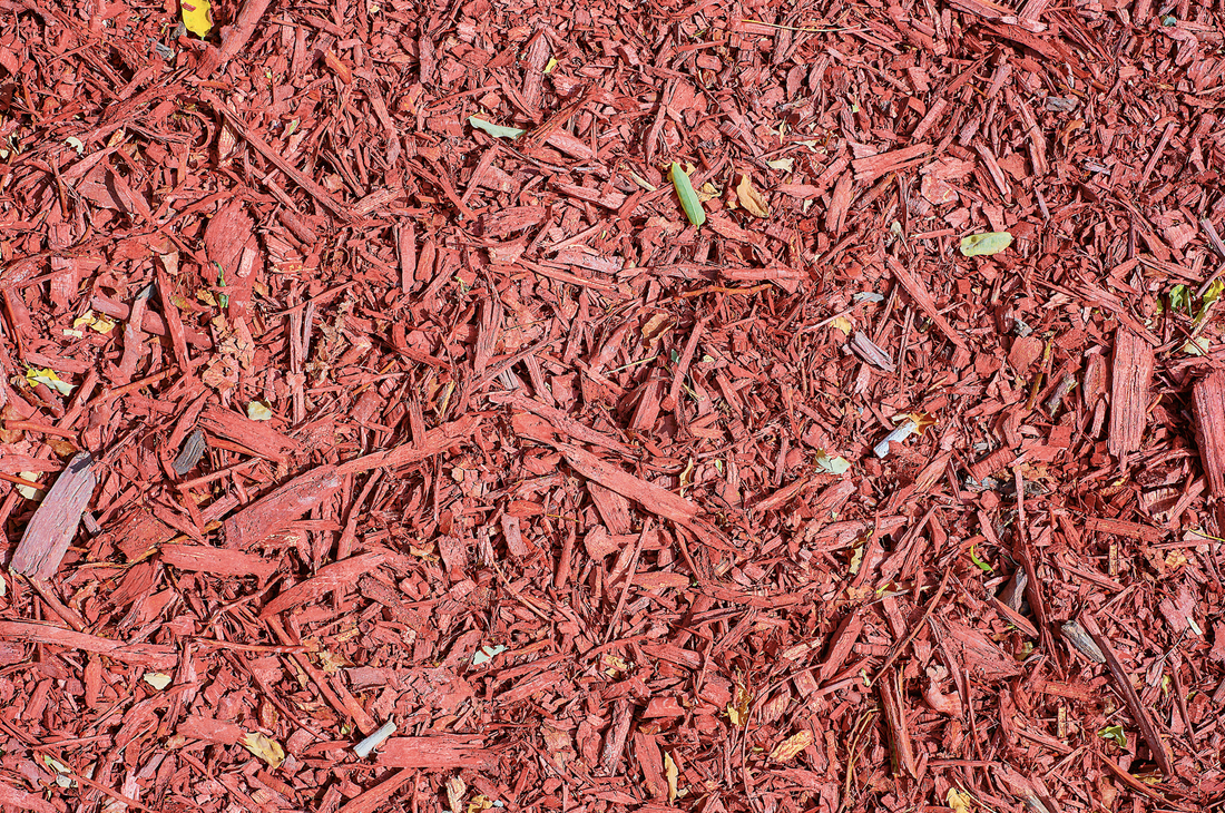 Understanding the Importance of Mulching with Daltons