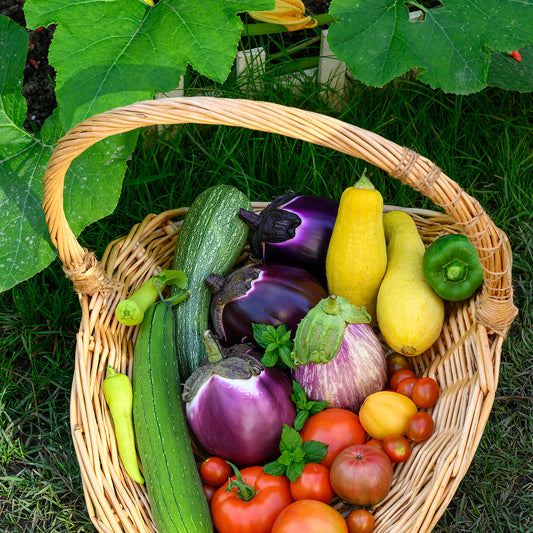 How to Grow Summer Vegetables