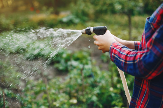 Watering Your Garden in Warmer Months: Sustainable Practices for a Thriving Garden
