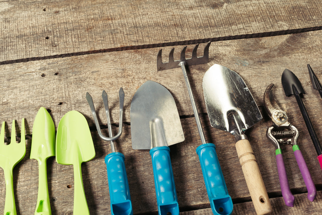 A Spring Checklist for Your Garden!