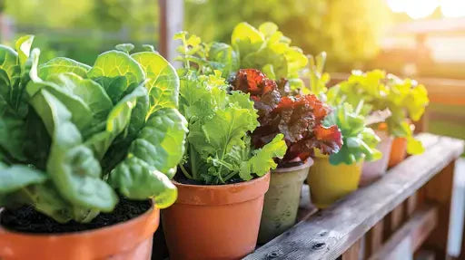 Choosing the right container size