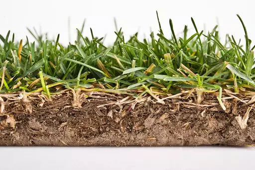 De-Thatching a Lawn
