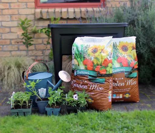 Planting in a Container: Tips for Healthy Potted Plants
