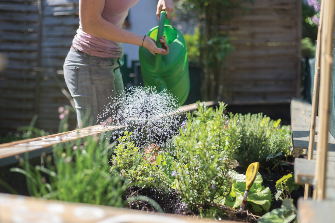 Watering