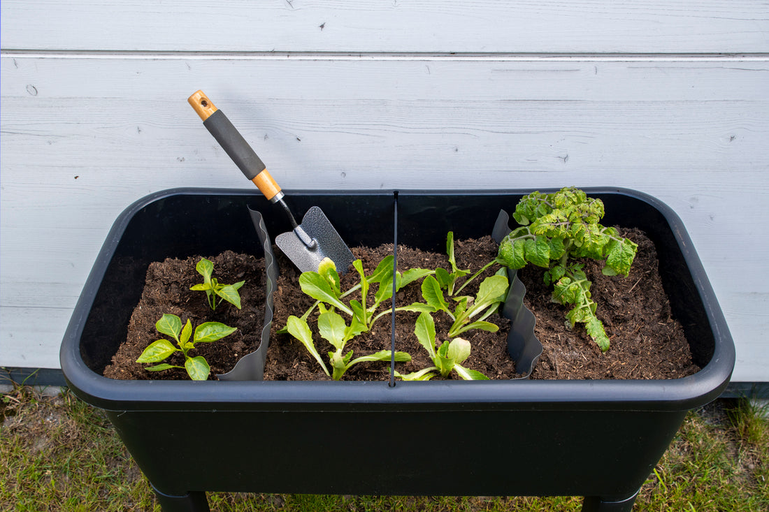 Raised garden