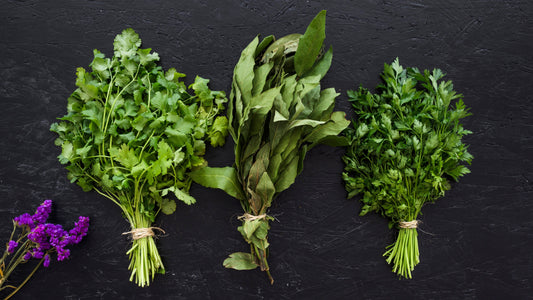 Herb Garden Maintenance: Tips for Spring in New Zealand