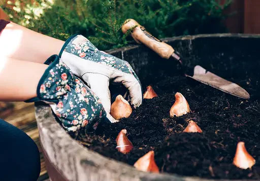 How to Grow in Containers Guide – Bulbs, Fruit Trees, Berries and Ornamental trees and shrubs