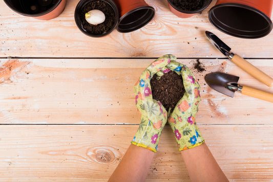 Preparing Your Garden for Spring: August Gardening Tasks