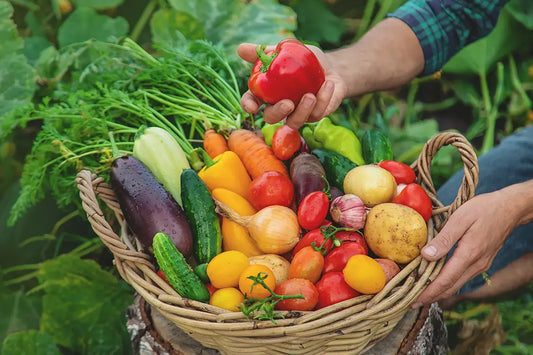 February Gardening Tasks