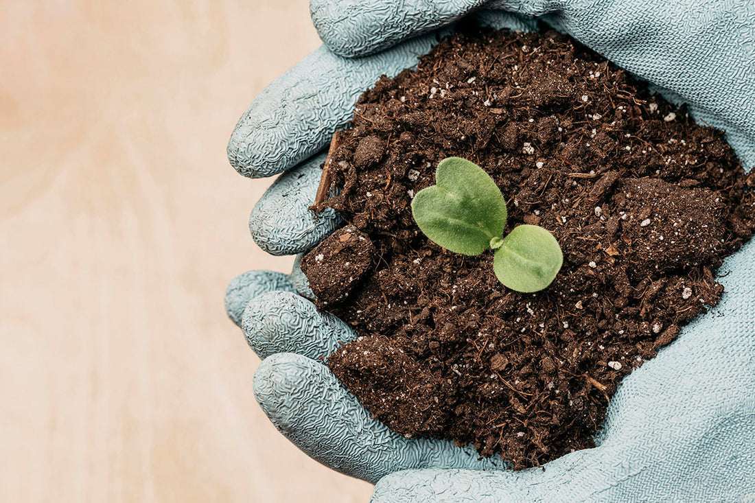 How Do I Prepare My Soil for Planting?