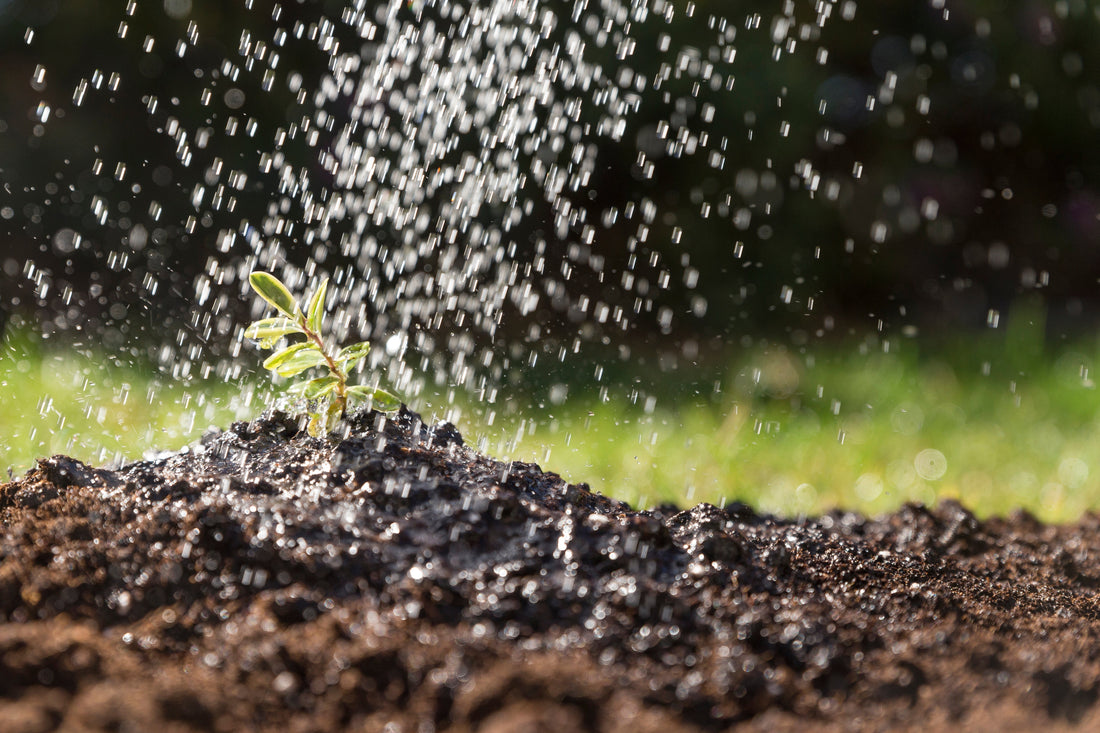 How to Create a Successful Irrigation System for Your Garden