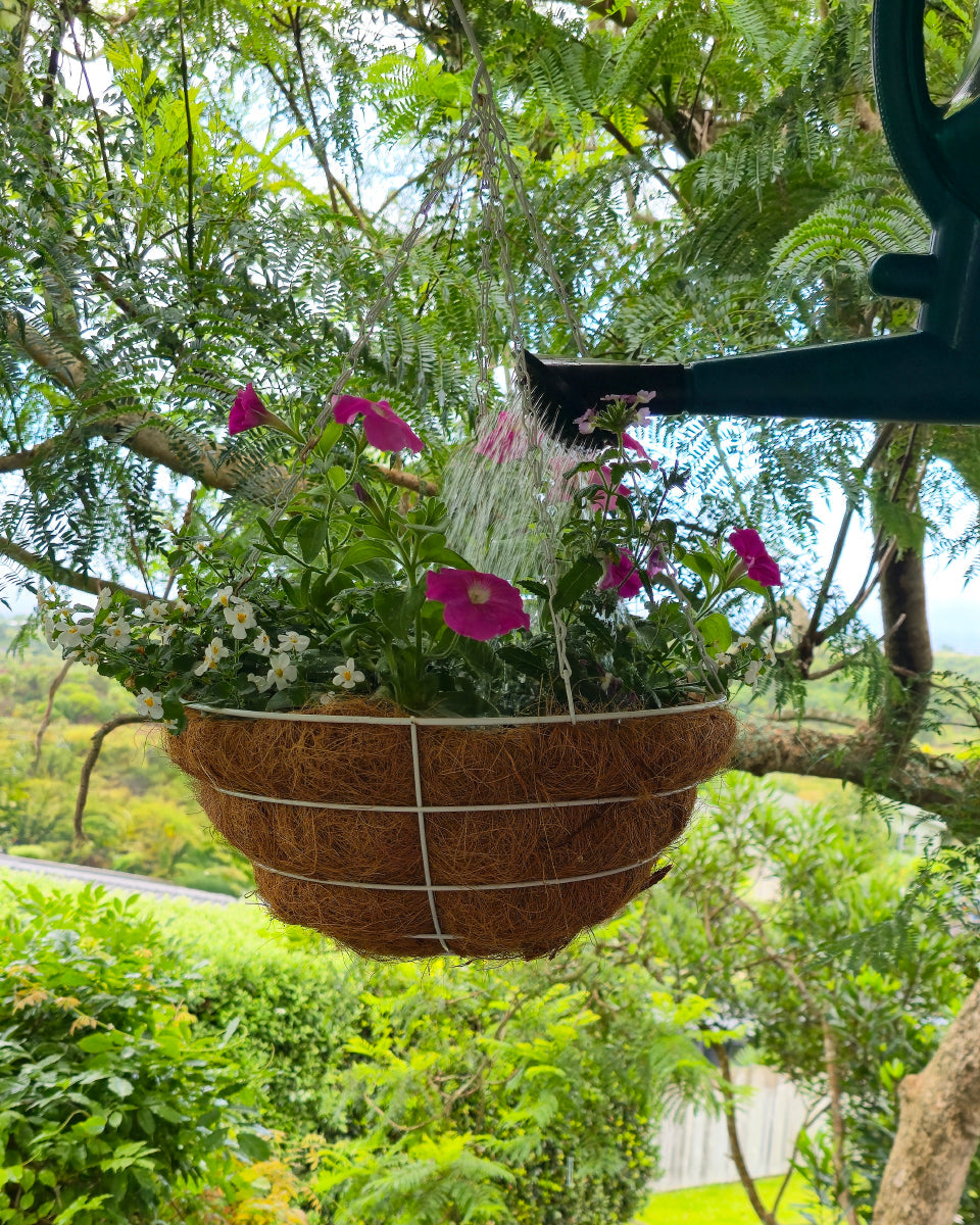 November Gardening Tasks