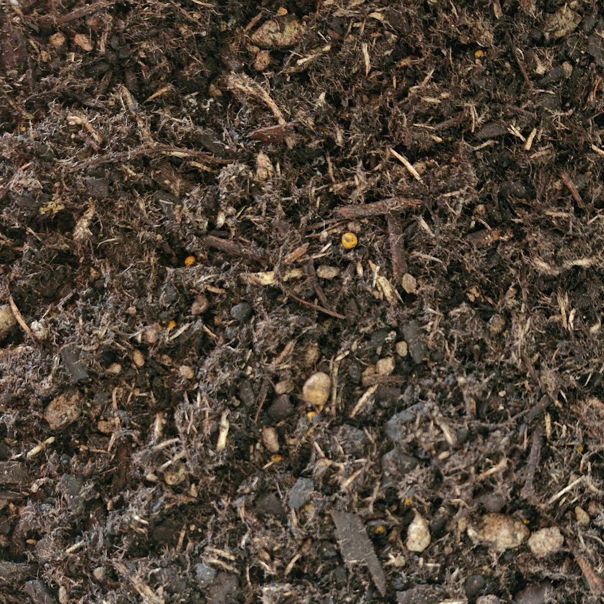 Daltons NZ Native Potting Mix Packs