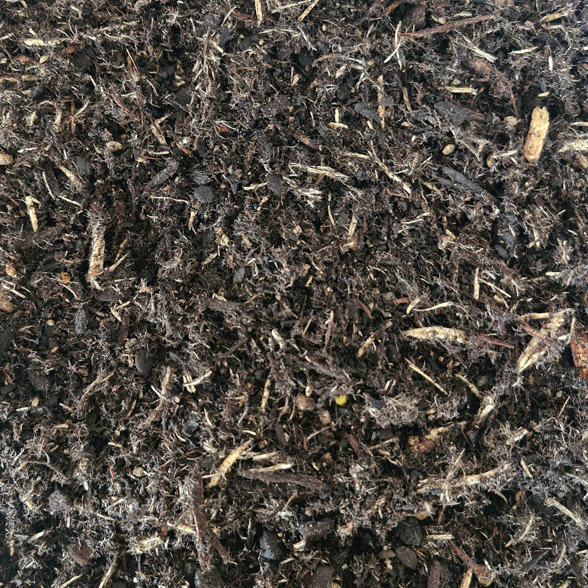 Daltons NZ Native Potting Mix Packs