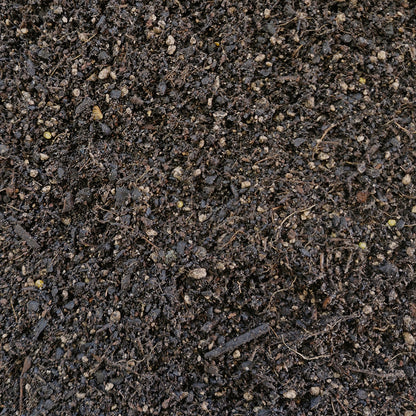 Daltons Commercial Seed & Cell Mix Bulk Packs