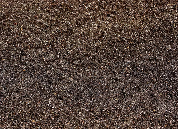 Daltons Lawn Soil (per ½ m³)